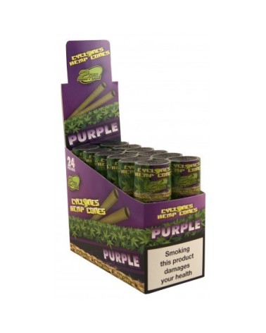 CYCLONES PURPLE