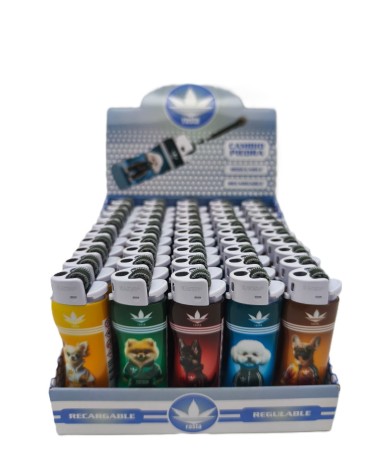ENCENDEDEDORES RASTA RECARGABLES